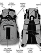 Plus 2 | Mochila De Perro Con Bolso Desmontable | K9 Sport Sack®  - Miniatura 29