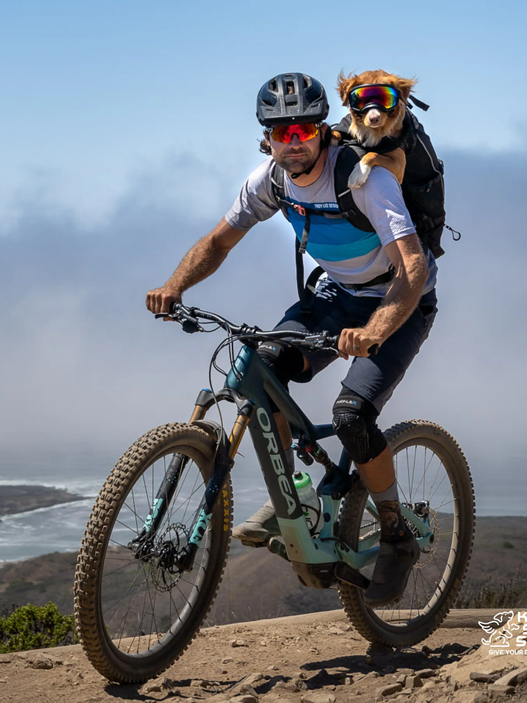 Knavigate | Mochila De Perro Con Soporte Interno y Cinturón Lumbar | K9 Sport Sack®  23