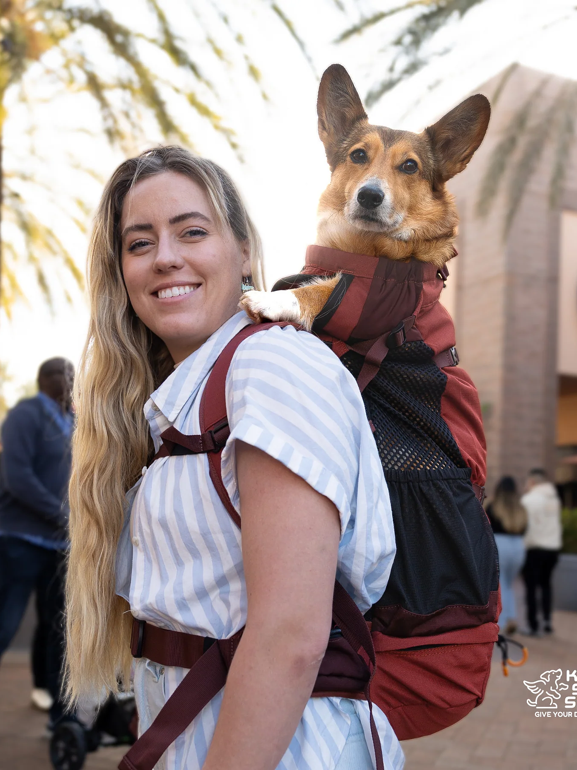 Knavigate | Mochila De Perro Con Soporte Interno y Cinturón Lumbar | K9 Sport Sack®  26