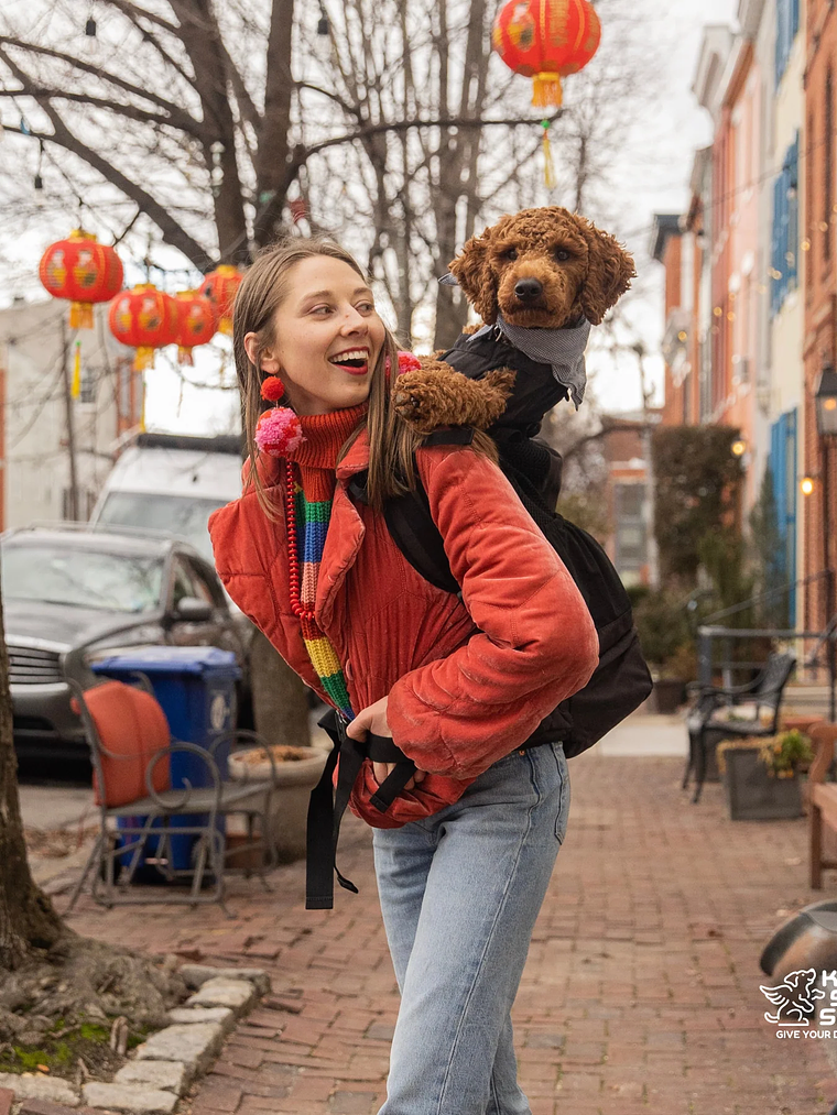 Knavigate | Mochila De Perro Con Soporte Interno y Cinturón Lumbar | K9 Sport Sack®  29