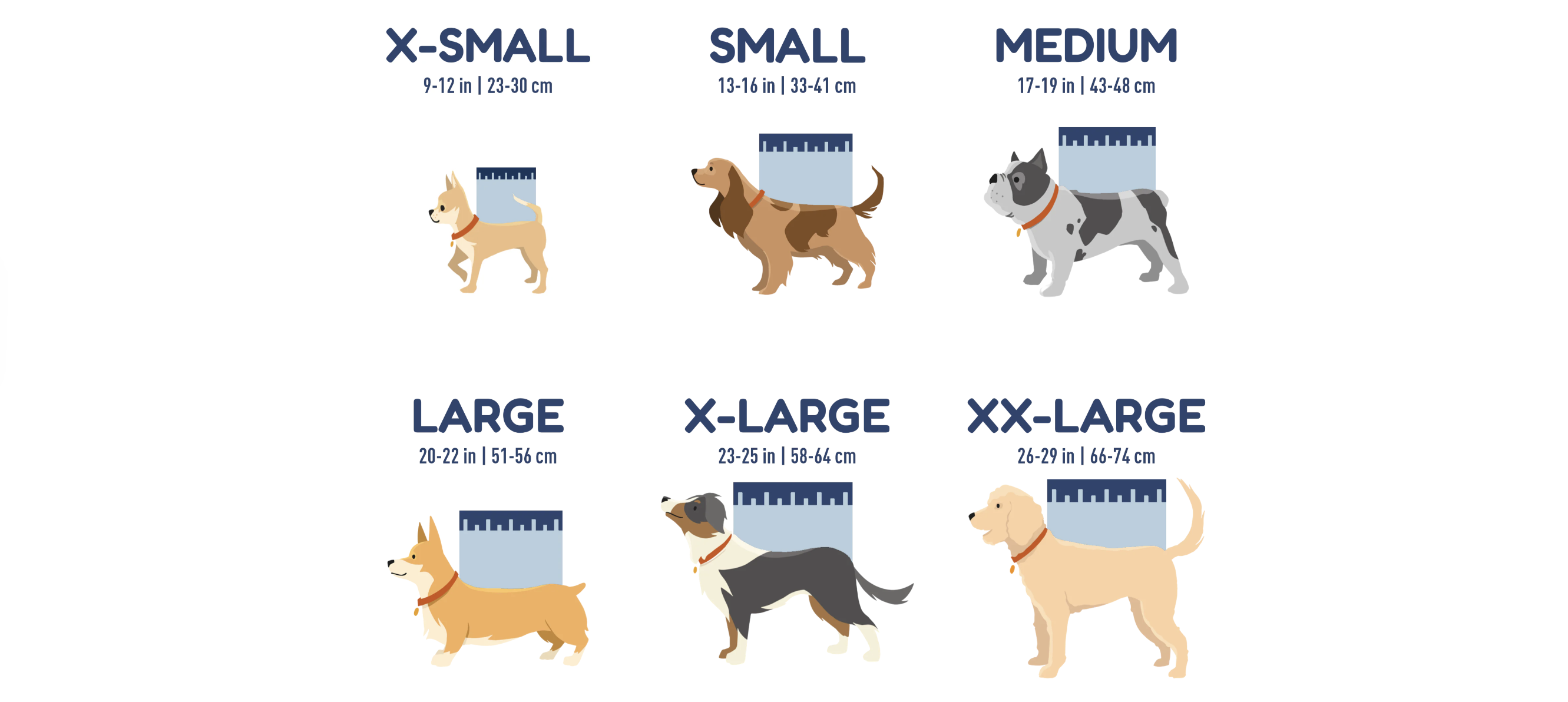 Guía de Tallas: Encuentra el Ajuste Perfecto para tu Perro