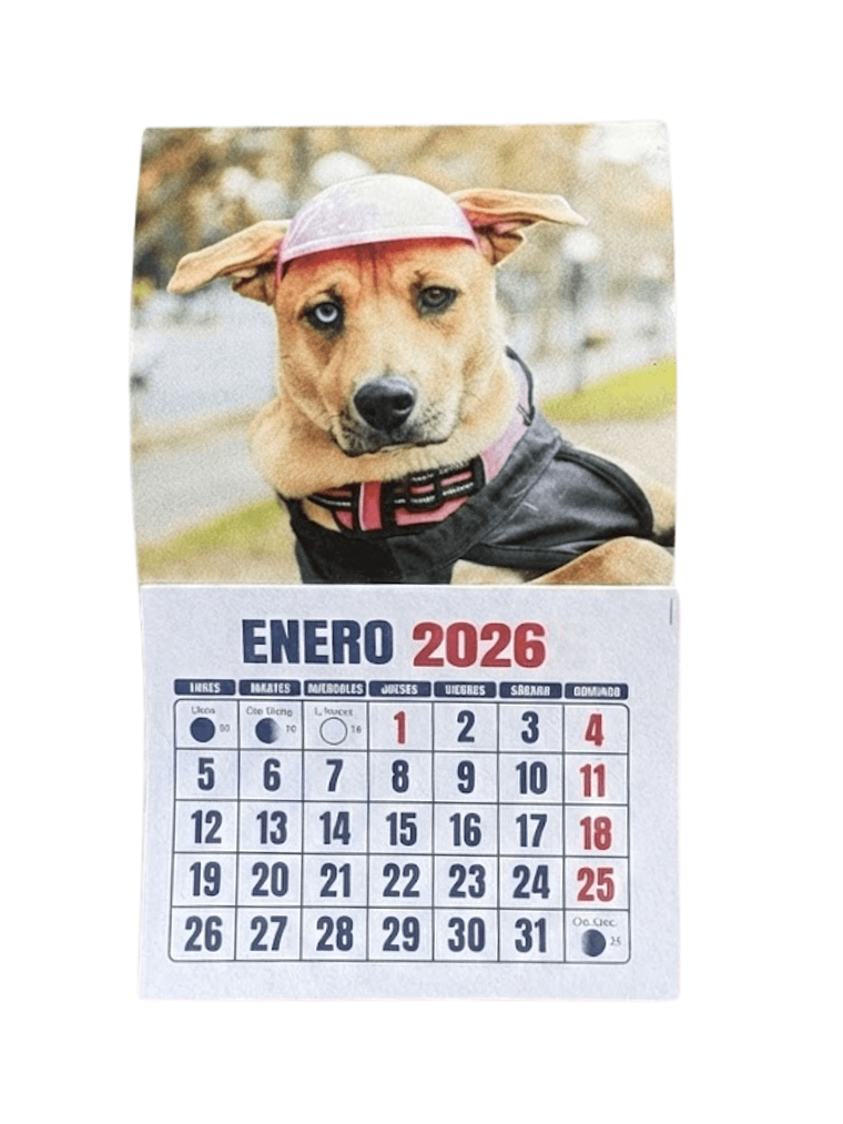 Mini Calendario de Bandida del Carmen (7x10cm) 1