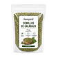 Semillas De Calabaza Verde Natural - Miniatura 1
