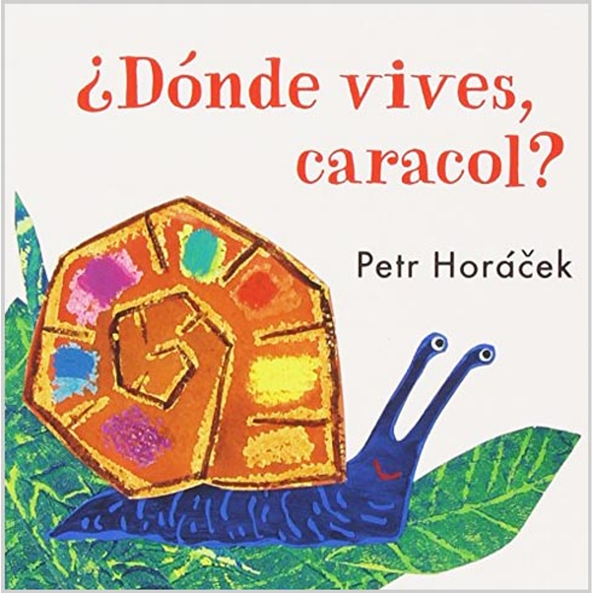 DONDE VIVES, CARACOL?