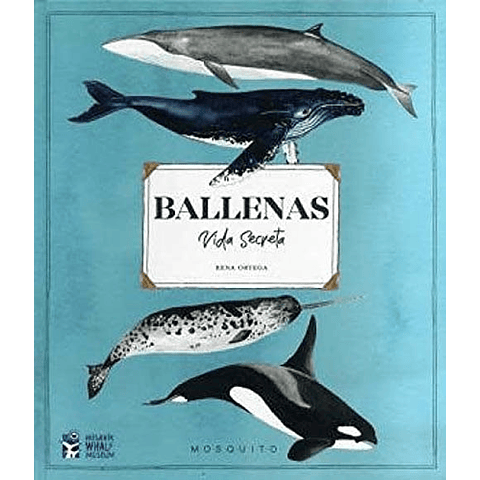 BALLENAS : VIDA SECRETA