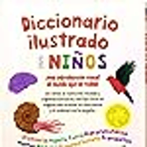 DICCIONARIO ILUSTRADO PARA NIÑOS - 384 pag 
