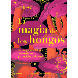 MAGIA DE LOS HONGOS