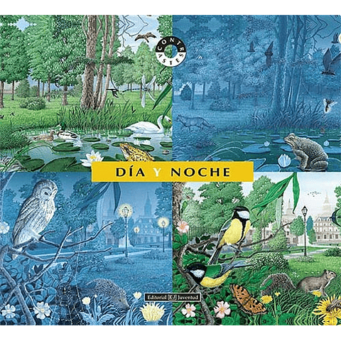 DIA Y NOCHE