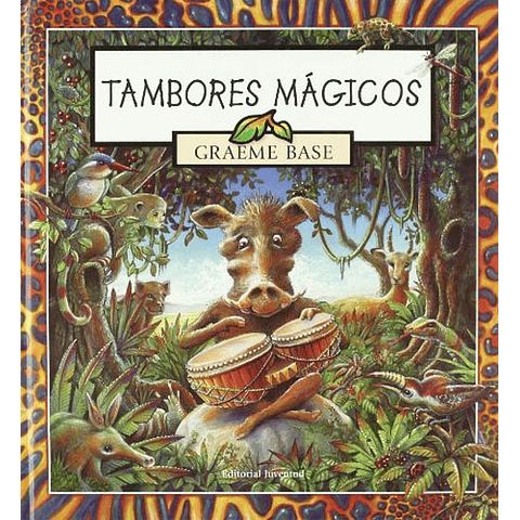 TAMBORES MAGICOS