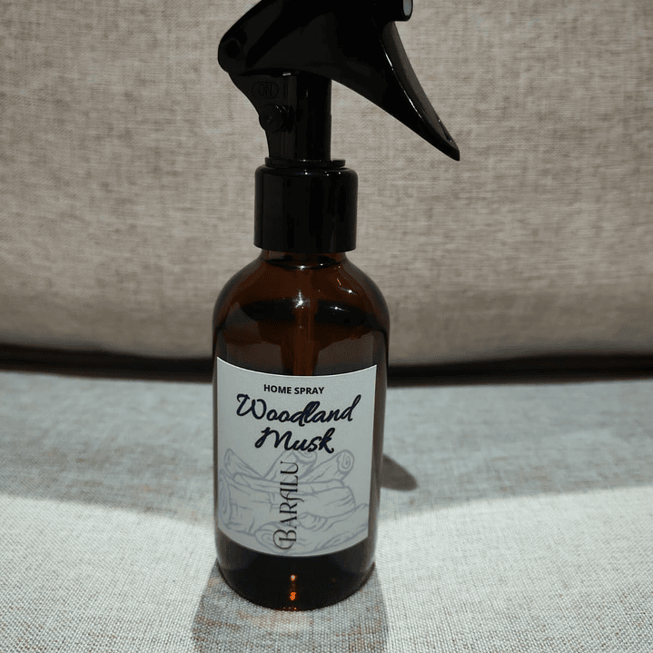 HOME SPRAY 120 ML 12