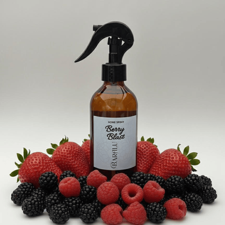 HOME SPRAY 240 ML 10