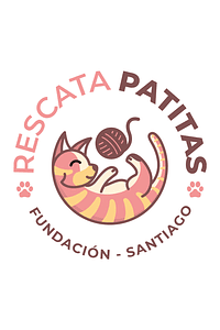 Donación Fundación Rescata Patitas 