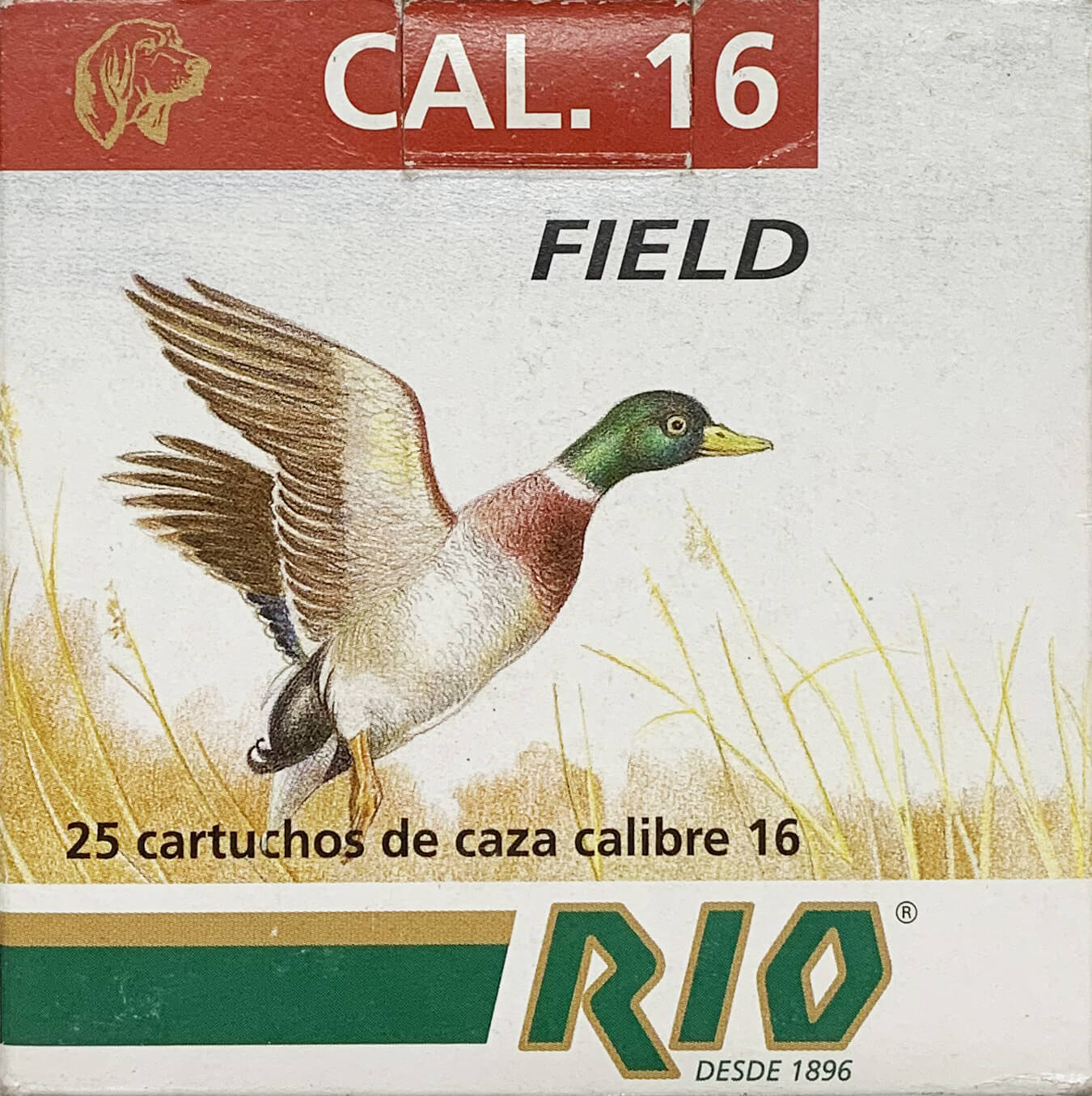 RIO Field 16
