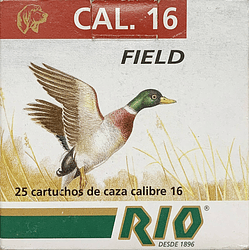 RIO Field 16