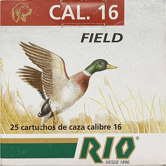 RIO Field 16