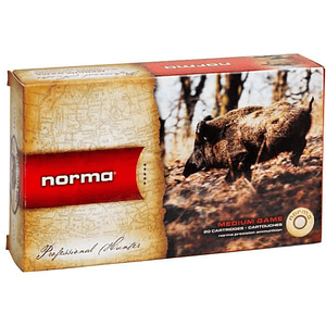 Norma Plastic Point 30-06 Sprg 180gr