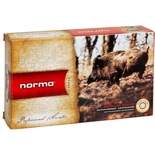 Norma Plastic Point 30-06 Sprg 180gr - Image 1