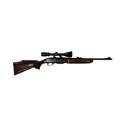 Remington cal. 30 06