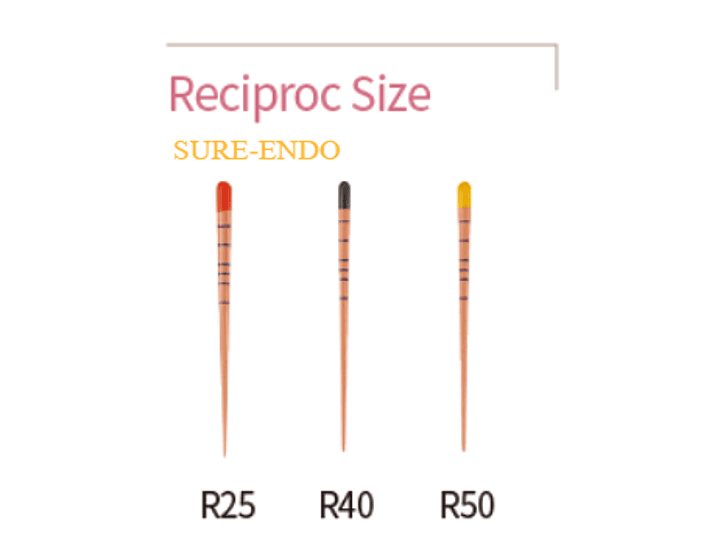 CONO DE GUTA SURE-ENDO RECIPROC 1