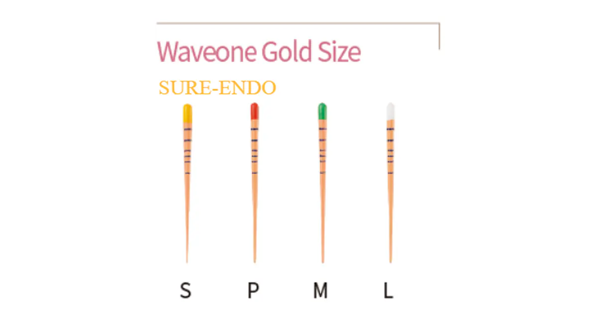 WAVEONE GOLD SIZE