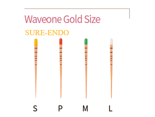 WAVEONE GOLD SIZE