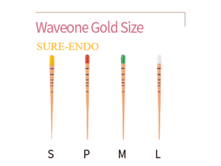 WAVEONE GOLD SIZE 1