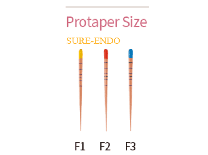 CONO PROTAPER 1