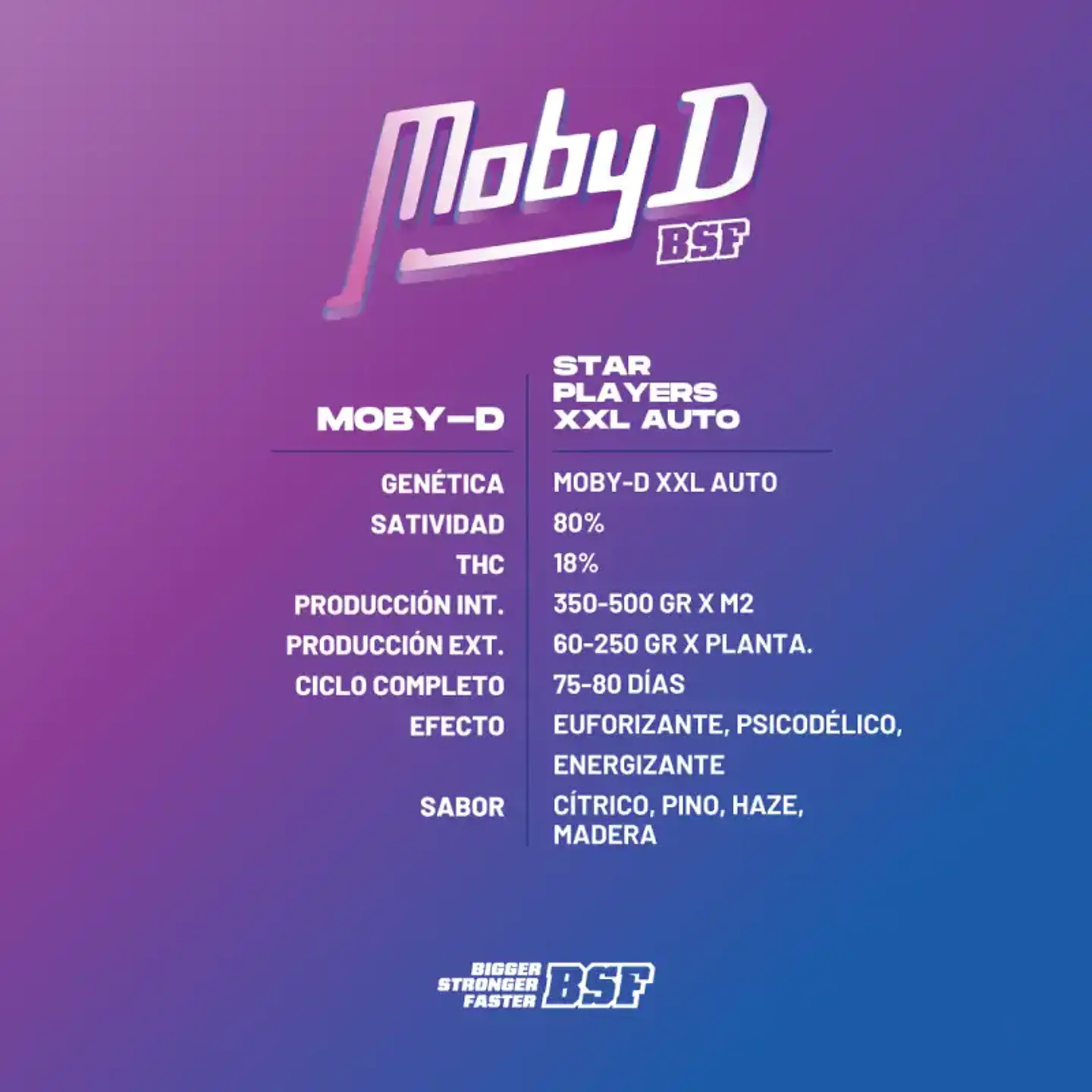 Moby D XXL Auto - BSF Seeds 2