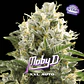 Moby D XXL Auto - BSF Seeds - Miniatura 1