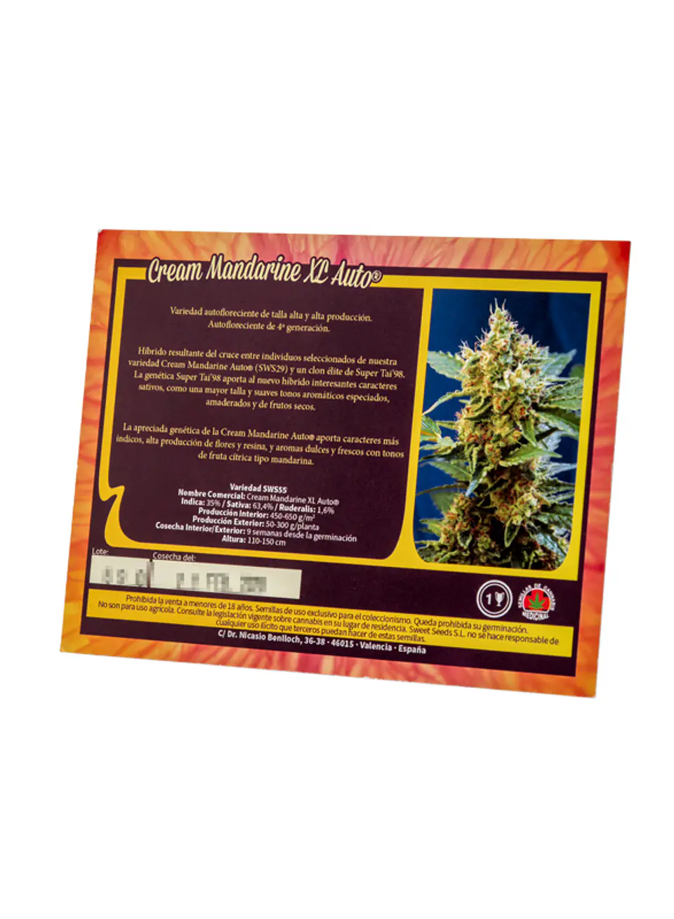 Cream Mandarine XL Auto - Sweet Seeds 3