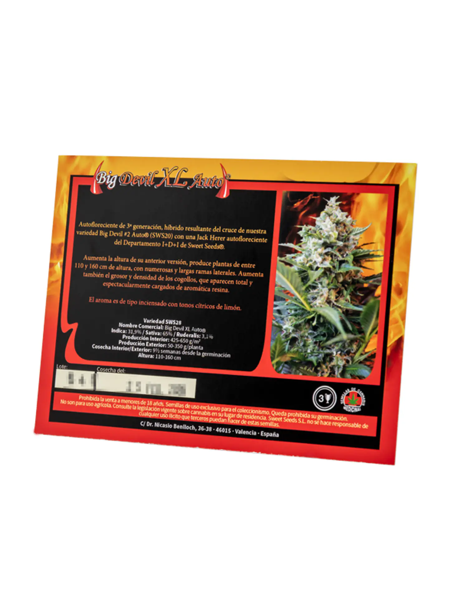 Big Devil XL Auto - Sweet Seeds 2