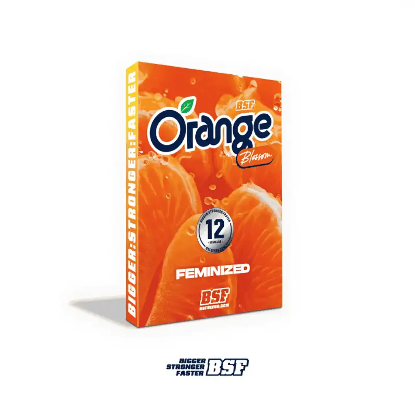 Orange Blossom Feminizada – BSF Seeds 🍊🌱 4