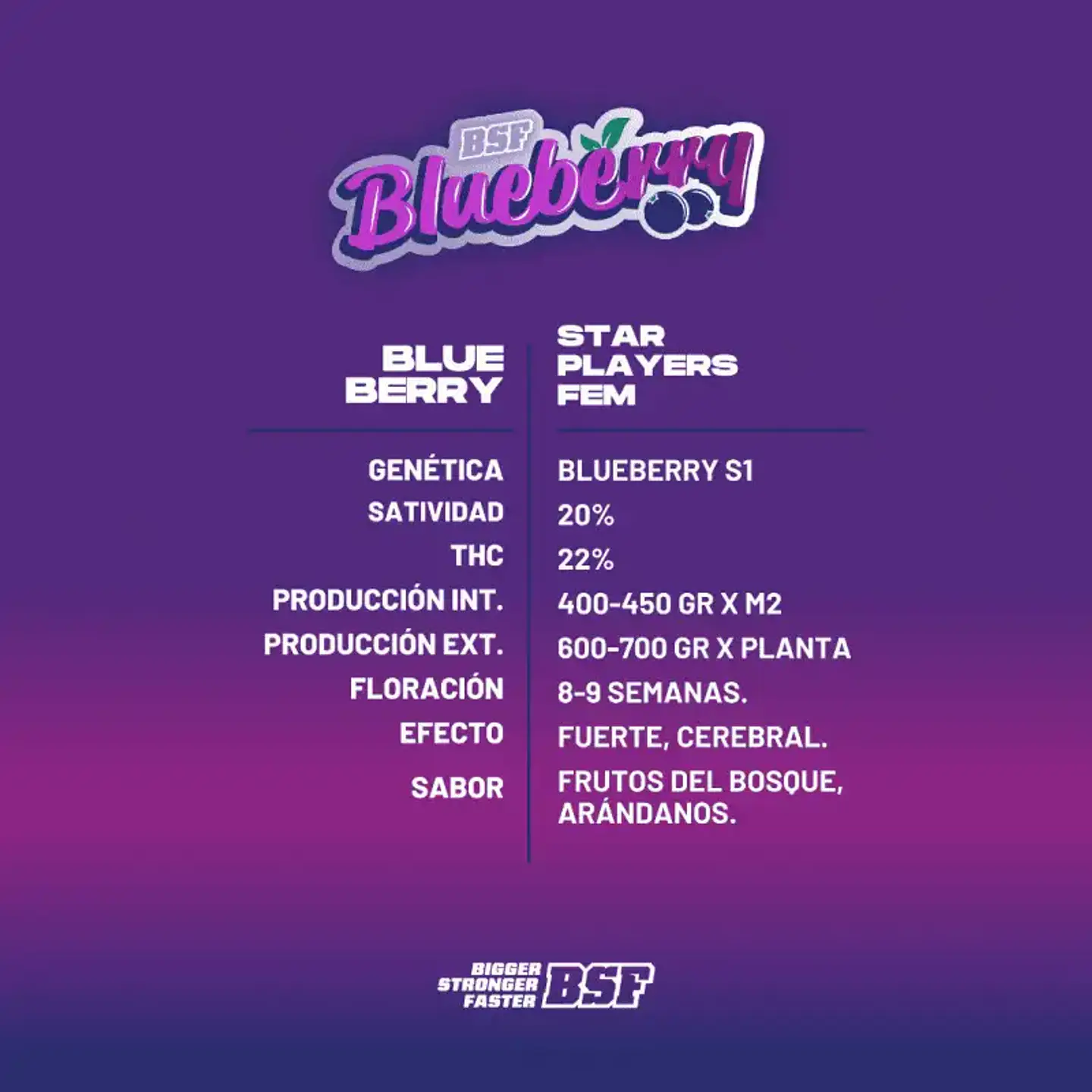 Blueberry Feminizada BSF Seeds 2