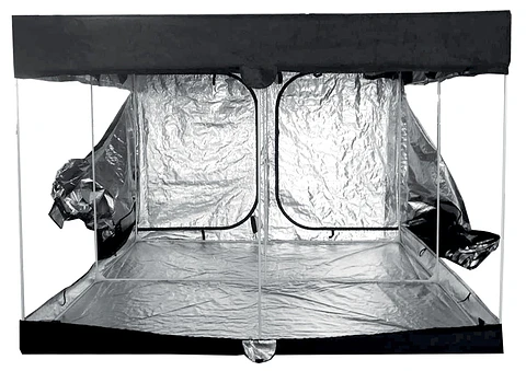 CULTIBOX - CARPA OPEN XL 240 x 240 x 200 CM 🌱🏕️