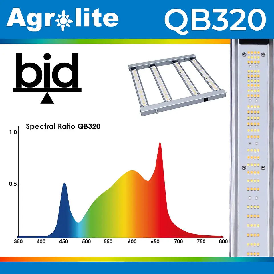 Kit Indoor Completo 80x80 Pro con LED QB 320W | Carpa de Cultivo Indoor 🌱💡 6