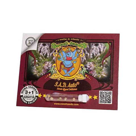 Sweet Afgani Delicious S.A.D Auto - Sweet Seeds 