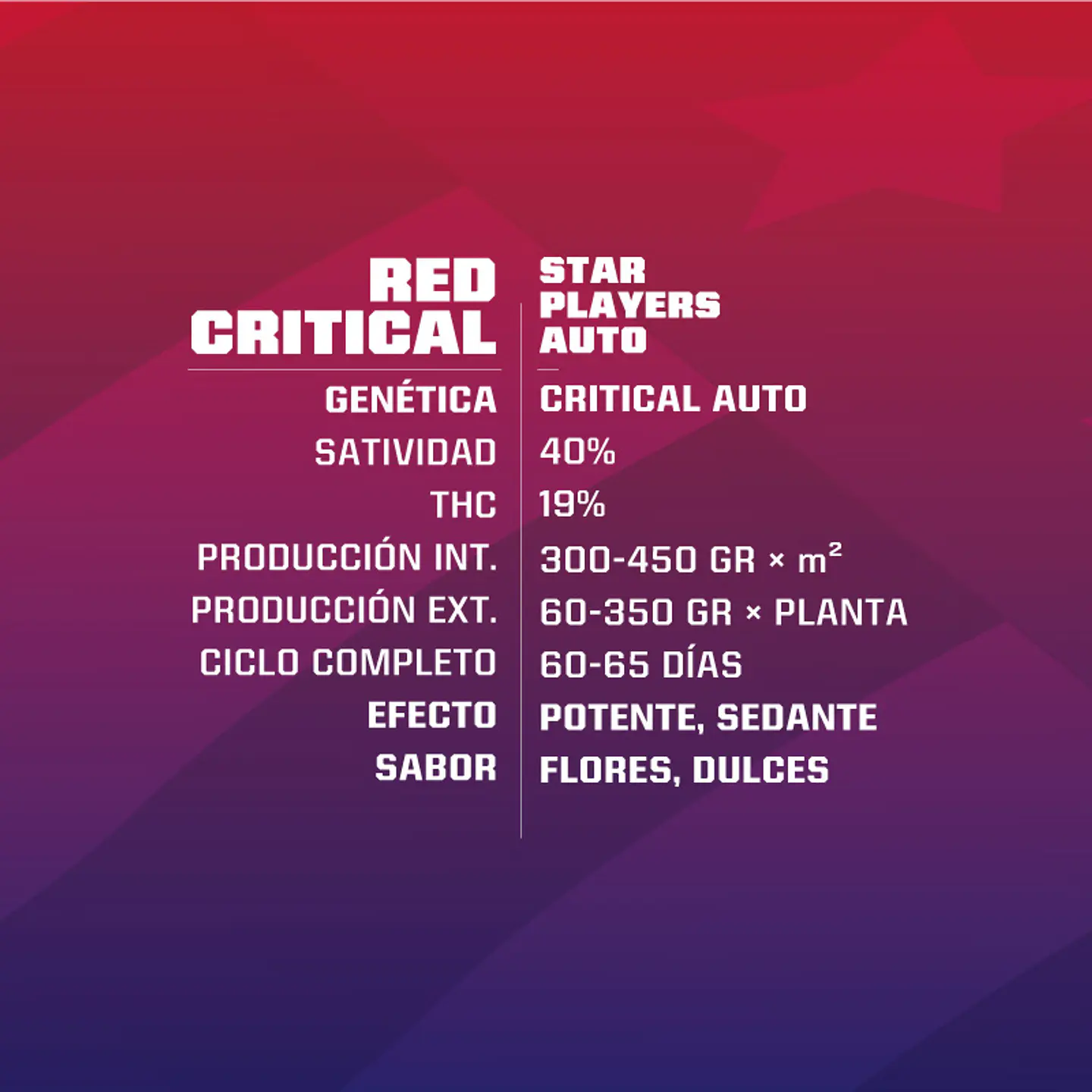 Red Critical Auto - BSF Seeds 3