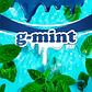 G-Mint Feminizada BSF Seeds - Miniatura 3