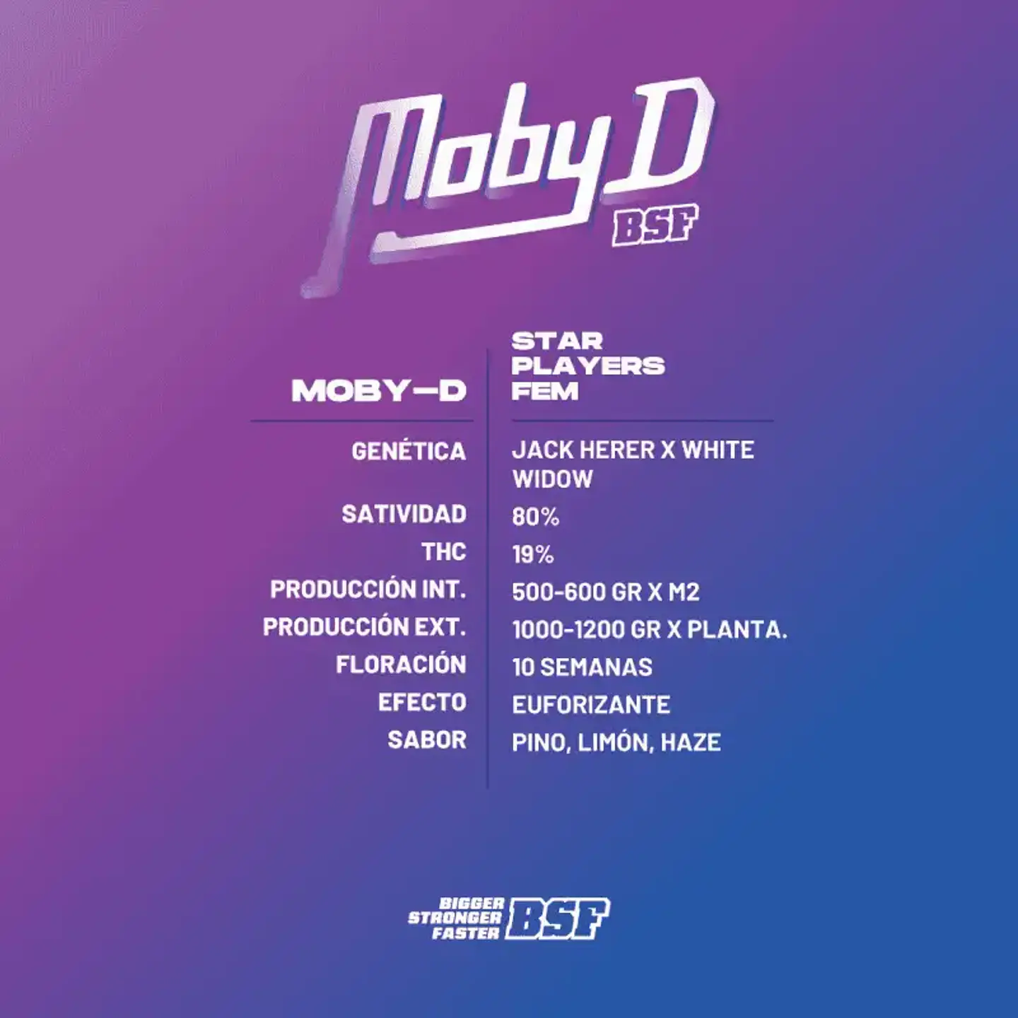 Moby D Feminizada – BSF Seeds  3