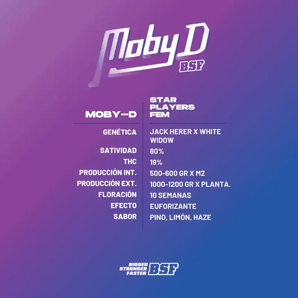 Moby D Feminizada – BSF Seeds  3
