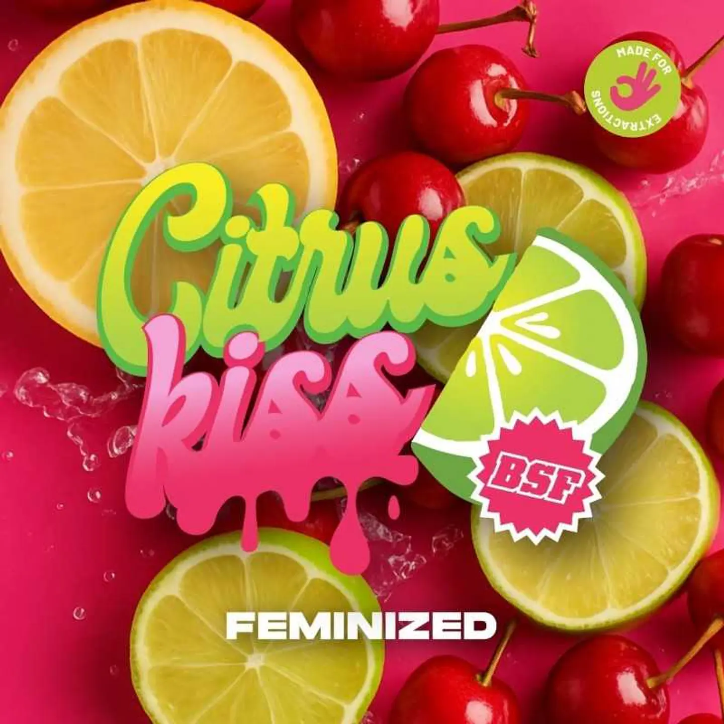 Citrus Kiss Feminizada – BSF Seeds 3