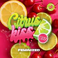 Citrus Kiss Feminizada – BSF Seeds - Miniatura 3