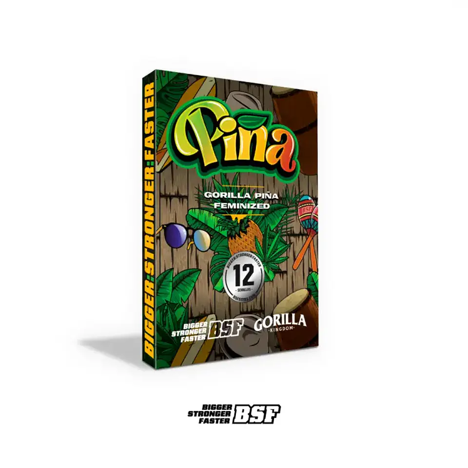 Gorilla Piña Feminizada BSF Seeds 4