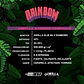 Gorilla Rainbow Feminizada – BSF Seeds 🌈🦍 - Miniatura 2