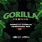 Gorilla Familia Feminizada Mix x12 Semillas Feminizadas – BSF Seeds - Miniatura 1