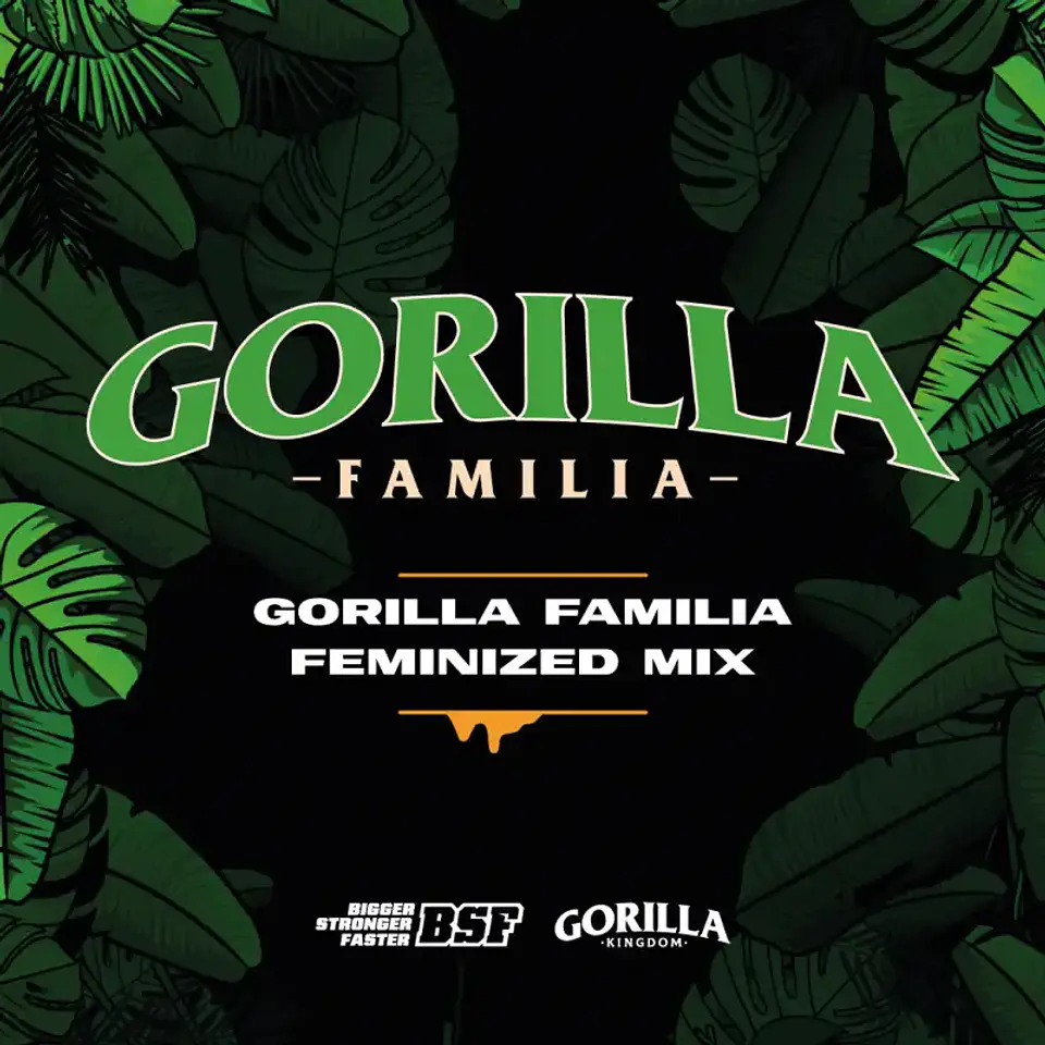 Gorilla Familia Feminizada Mix x12 Semillas Feminizadas – BSF Seeds 1