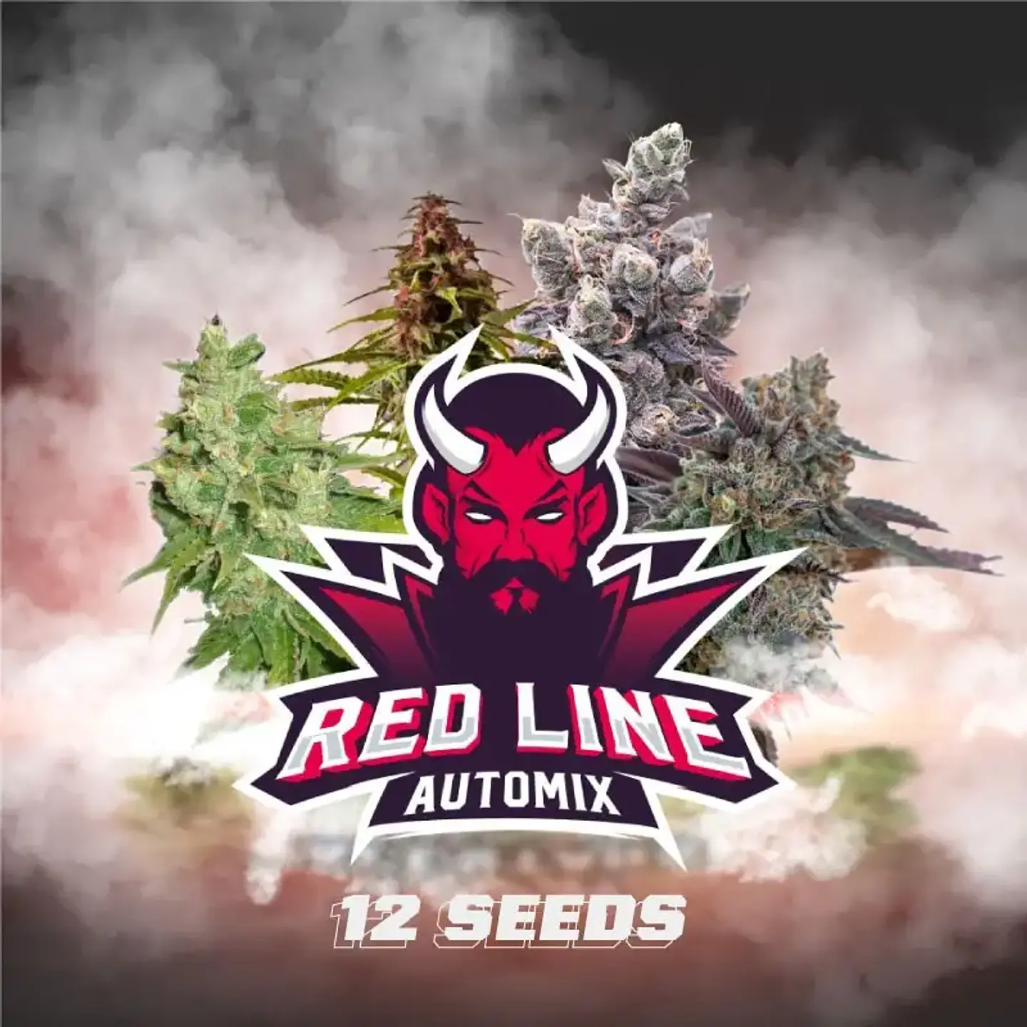 Red Line Auto Mix 12 Semillas Automaticas BSF Seeds 5