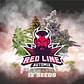 Red Line Auto Mix 12 Semillas Automaticas BSF Seeds - Miniatura 5