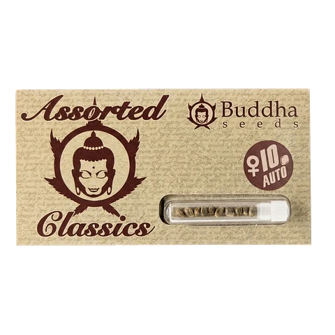 Buddha Assorted Auto Classics X10 – Buddha Seeds