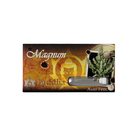 Buddha Magnum Auto X50 Semillas – Buddha Seeds